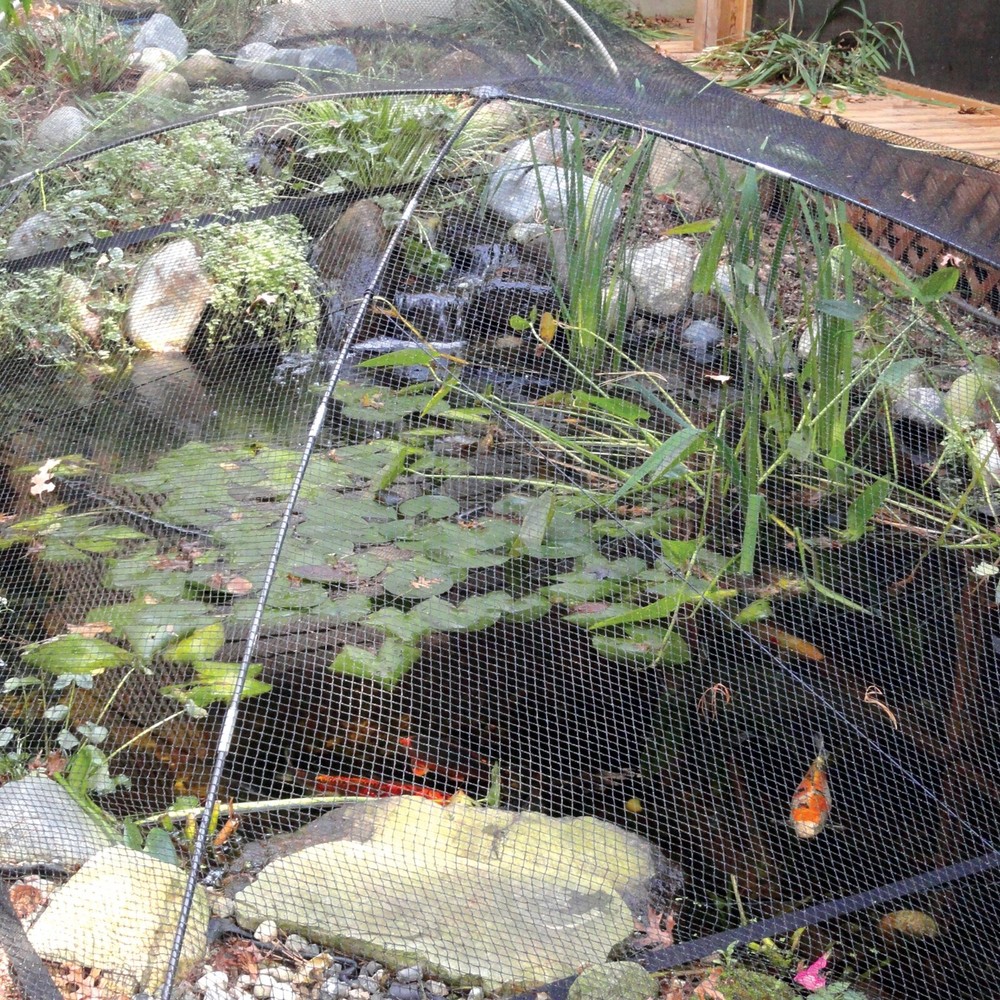 Atlantic Pond & Garden Protector Net Kit - Dome area covers 9' x 12' [PGPLG]