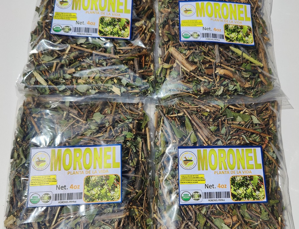 4oz Moronel organic moronel tea ramas de moronel