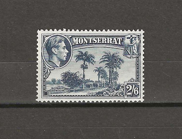MONTSERRAT 1938/48 SG 109 MNH
