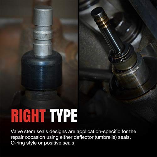 SS 13401 Valve Stem Seal Set