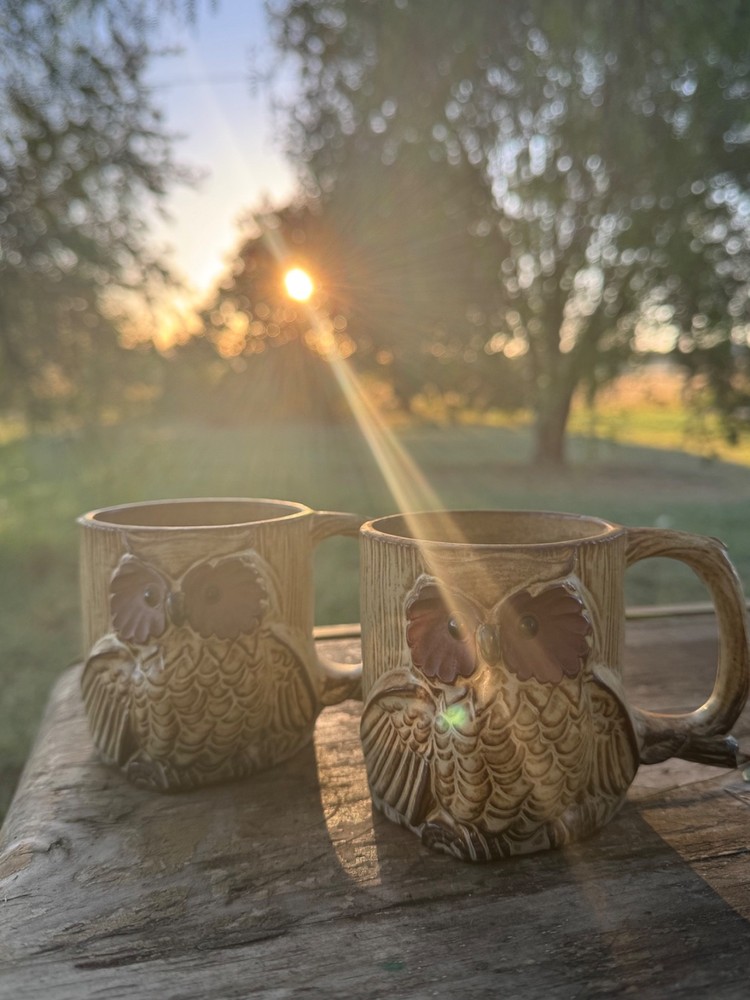 whimsical vintage owl mugs