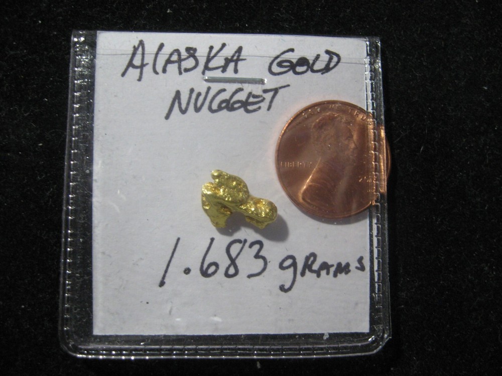 ALASKA GOLD NUGGET  1.683 GRAMS
