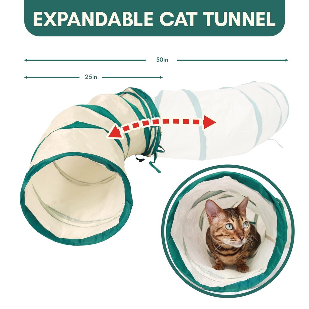 CATGILITY Cat Agility Equipment + Clicker Trainer Guide – Exercise Agility Co...