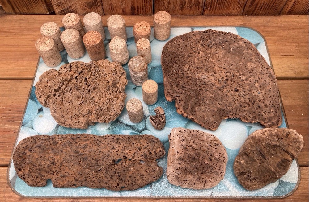 Tropical Driftwood and Cork pieces
