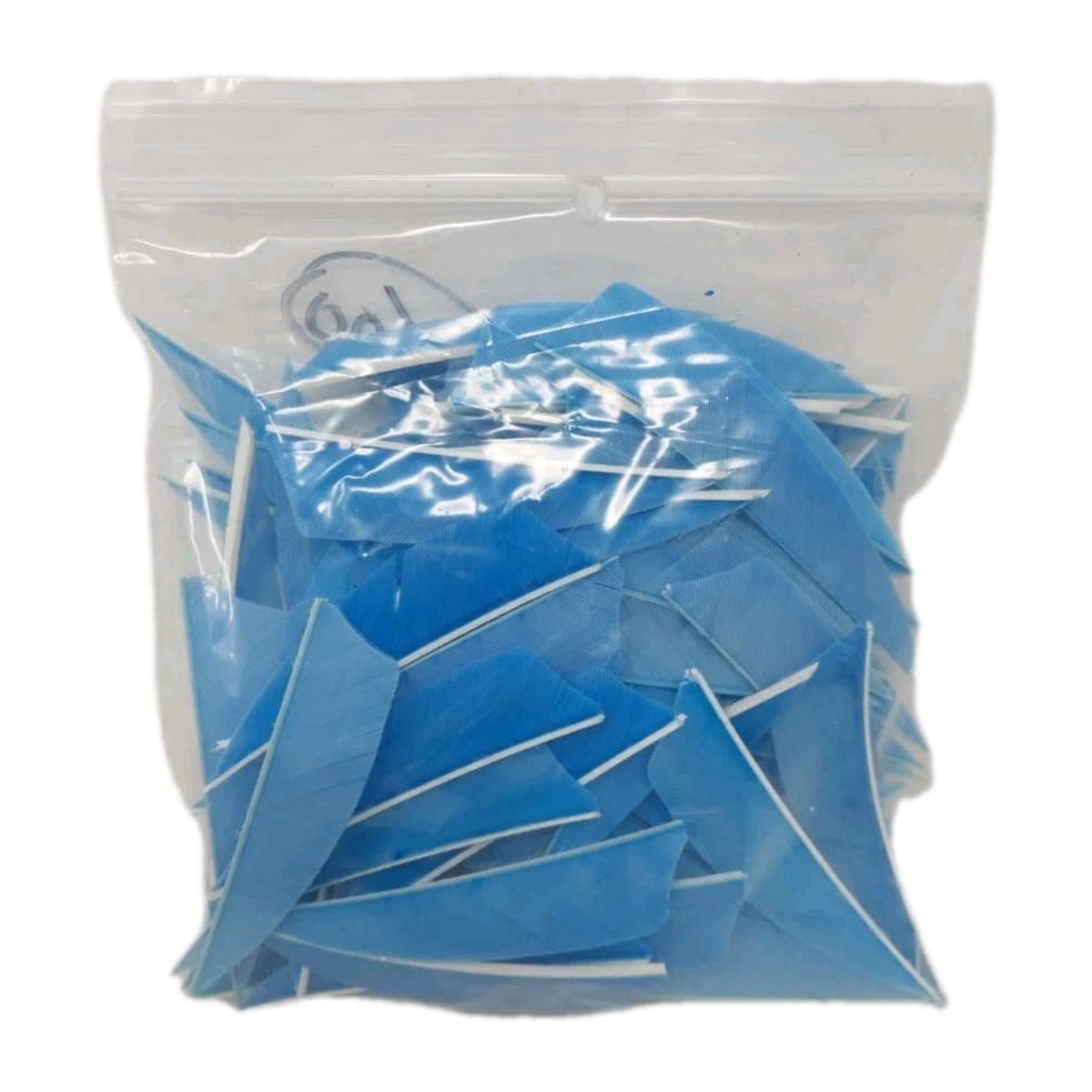 100 Pack Archery Arrow Feathers 3" Right Wing: Shield Sky Blue