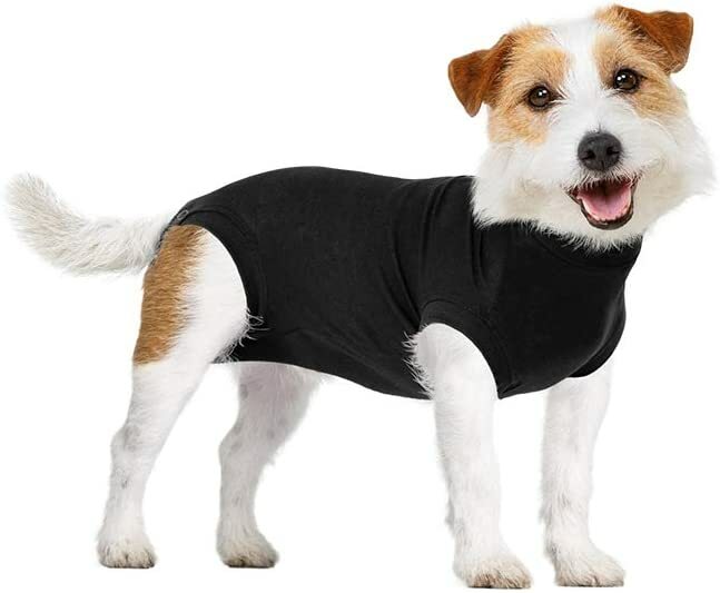Suitical Recovery Suit Dog, Small Plus , Black