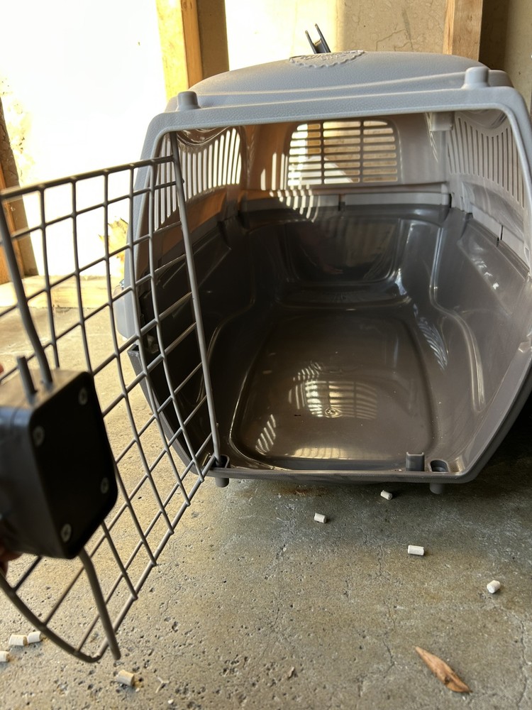 Cat Items