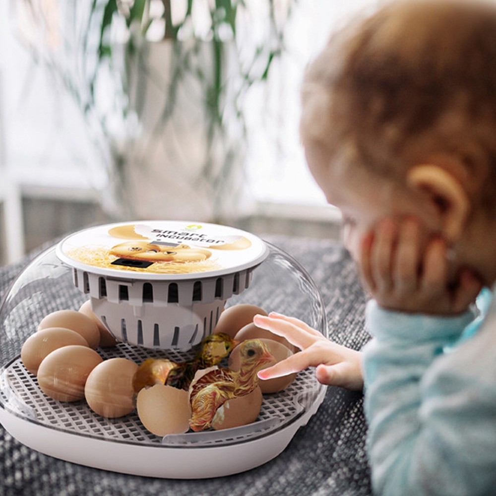 Incubators for Hatching Eggs 12 Eggs with Automatic & Humidity Control