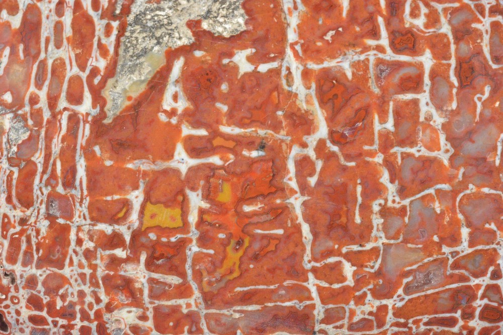 Red Agatized Dinosaur Bone, Utah, Polished, 4.1x2.9"