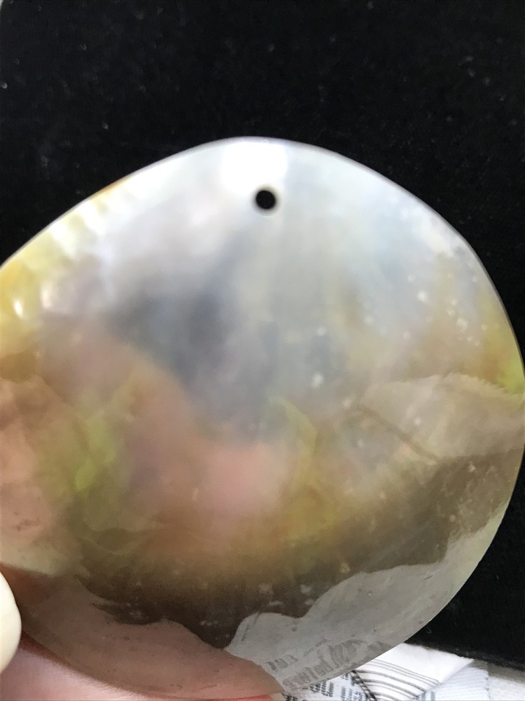 Vintage Polished Shell ready to use in multiple applications