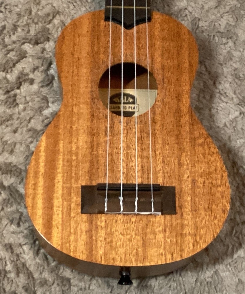 KALA-LTP-S Learn to Play Ukulele ONLY - Mahogany Nice