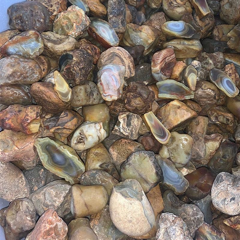 Island Agate #2 Small (Price per pound)