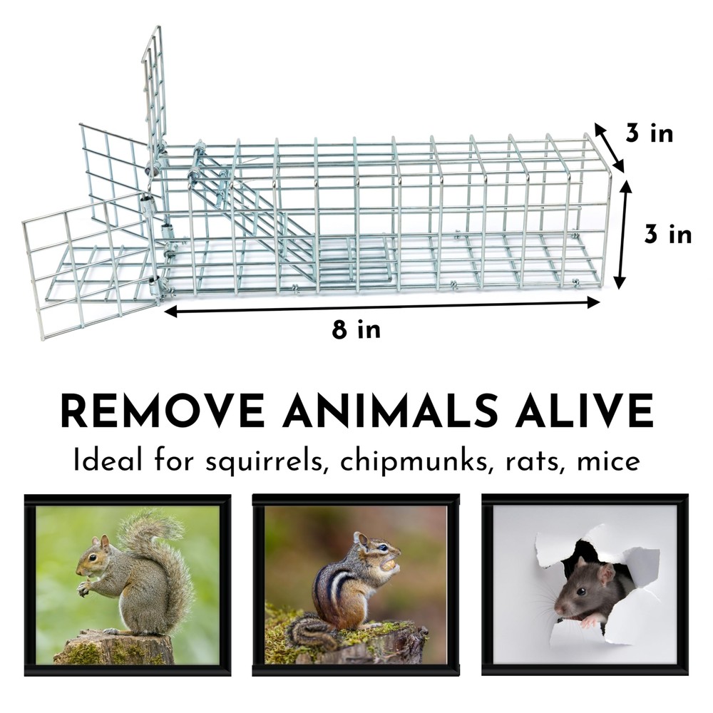One-Way Rodent and Squirrel Trap with Copper Mesh for Effective Pest Control