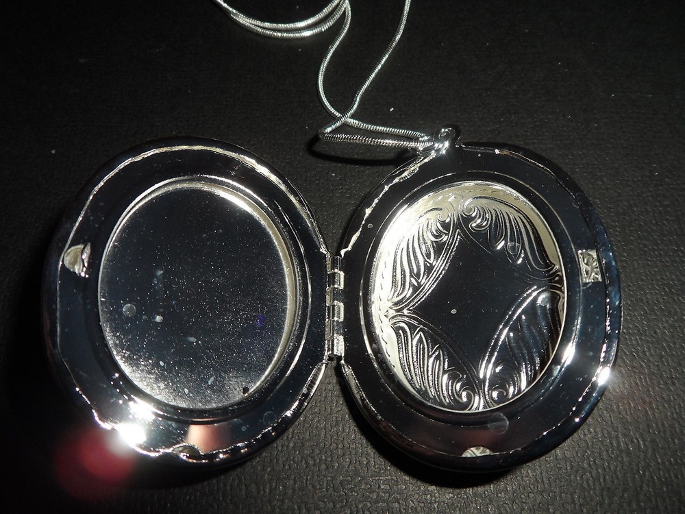 STEAMPUNK LOCKET DRAGONFLY TIME