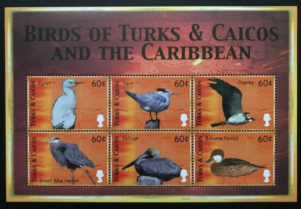 TURKS AND CAICOS 2000 BIRDS  Sc 1300 MNH