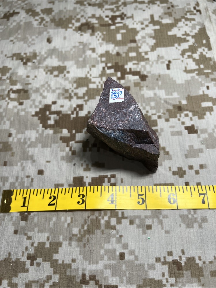 Fossil T-Rex Bone Fragment