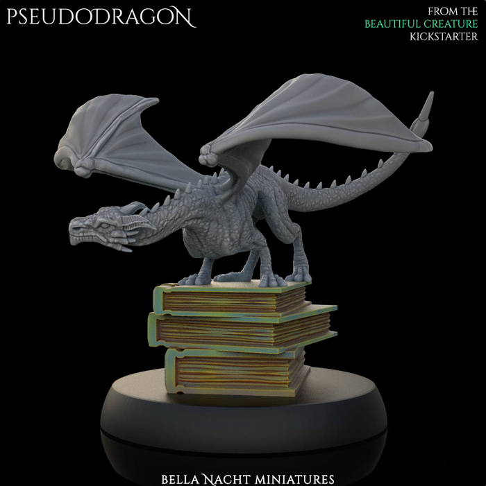 Bella Nacht - Pseudo Dragon