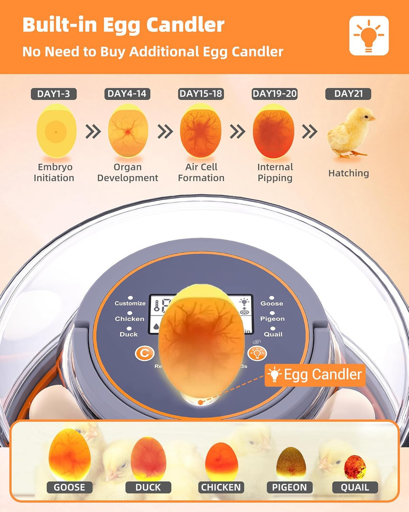 Incubators for Hatching Eggs, 12 Chicken Incubator with Automatic Egg Turning an
