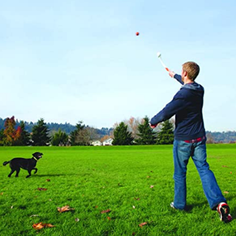 Chuckit! Classic Ball Launcher, Medium