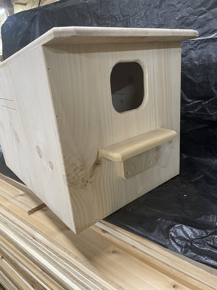 Barn owl Nesting Box