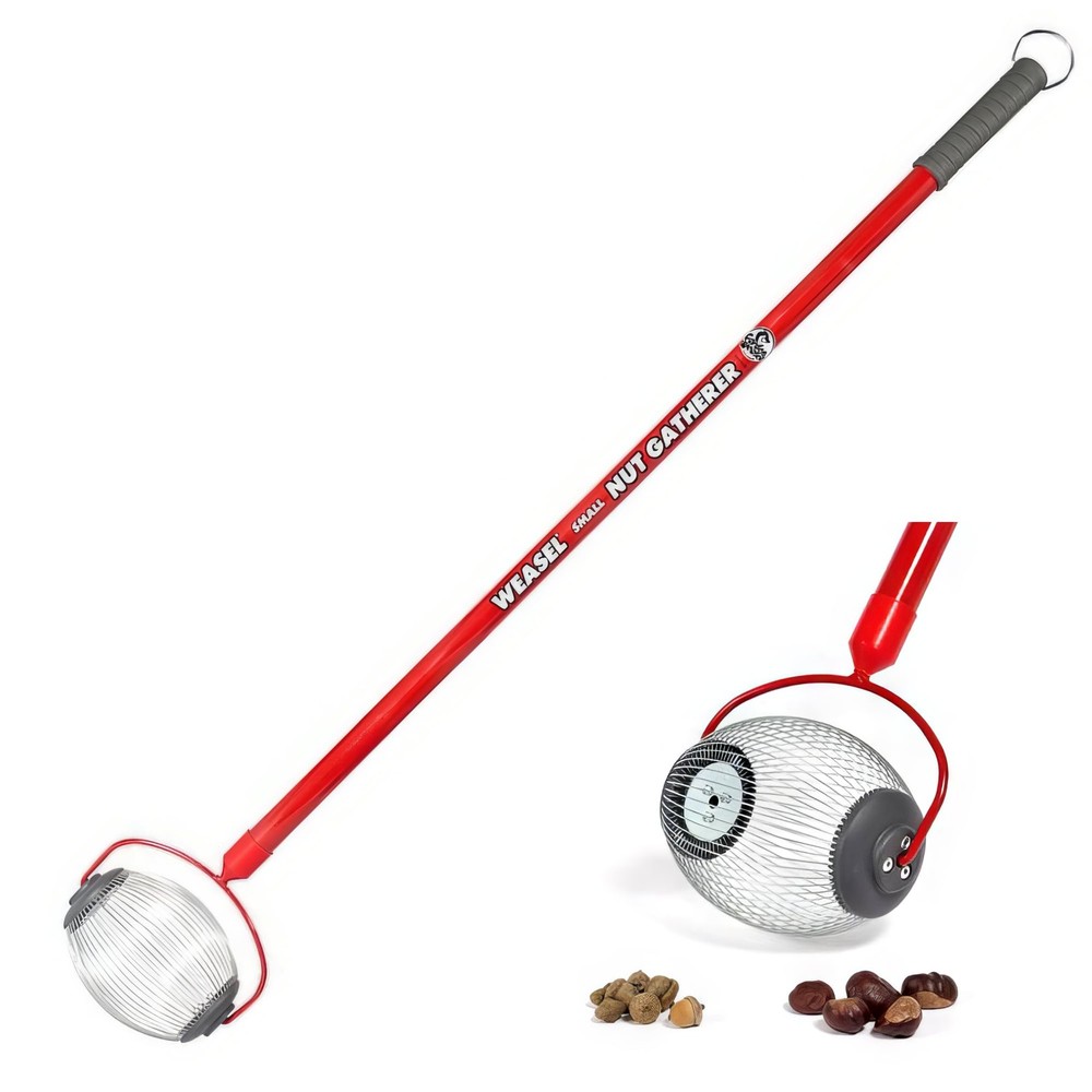 Nut Gatherer - Small Cage | Pick Up Small Acorns, Buckeyes, Beech Nuts | Nut Col