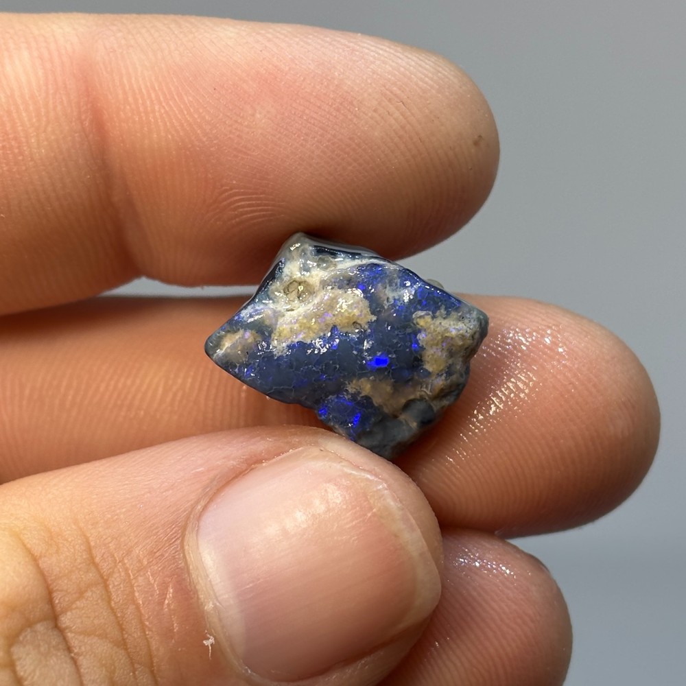Raw Dicty Australian Lightning Ridge Opal Stone Parcel