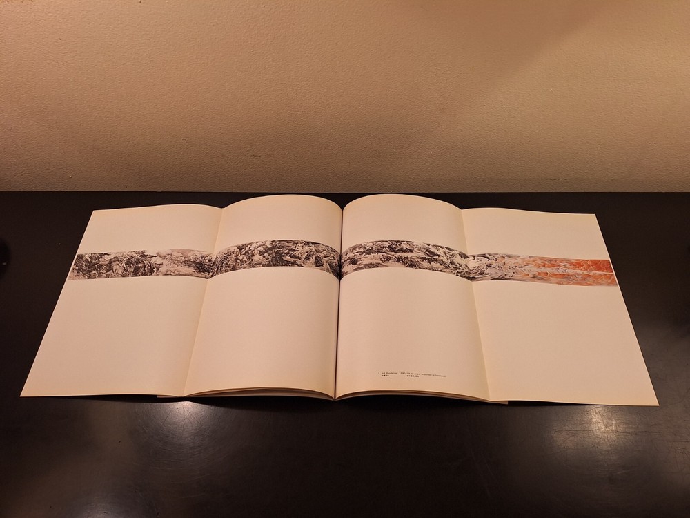 Liu Dan Alternative Visions 1993