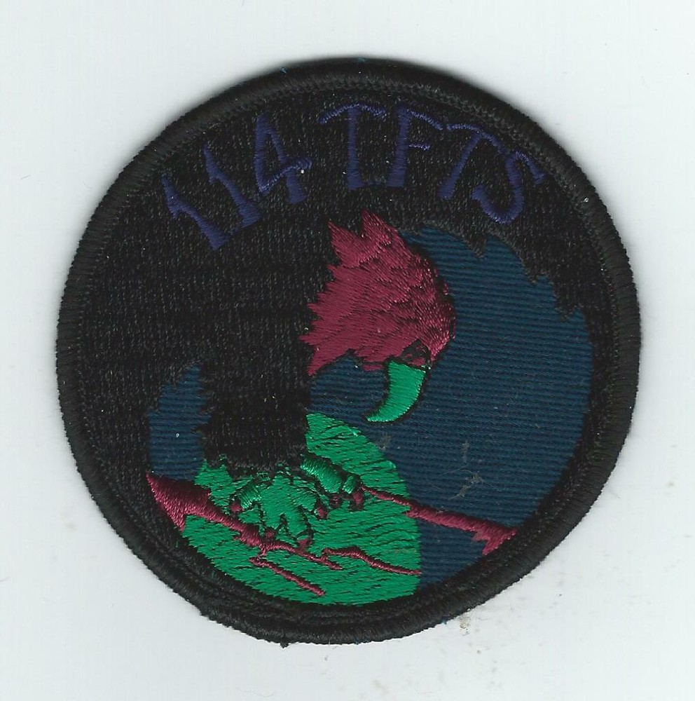 114th TAC FIGHTER TRAINING SQUADRON subdued patch