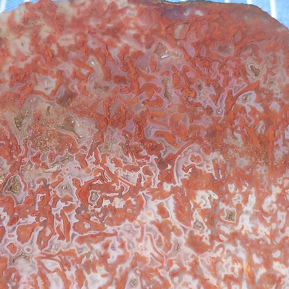 BIG Moss Agate Slab Ready For Lapidary