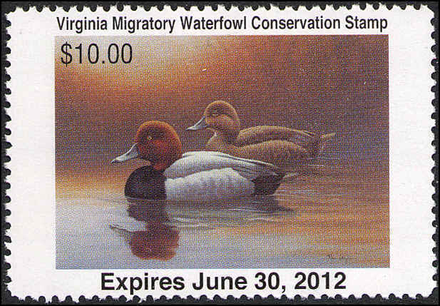 VIRGINIA #24 2011 STATE DUCK REDHEAD by Ronald Louque