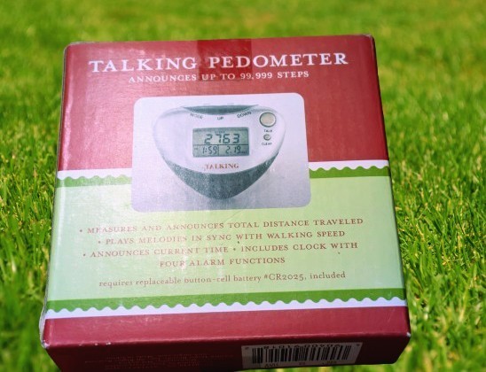 Talking Pedometer
