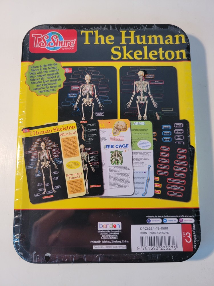 📀 The Human Skeleton- Learn & Identify NEW