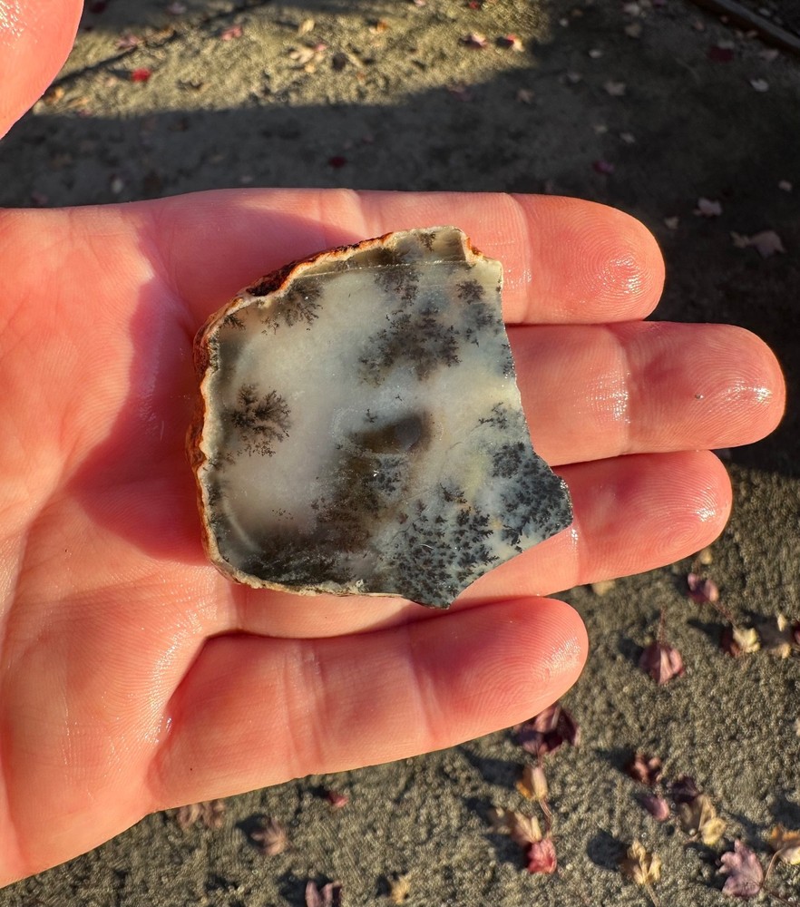 Dendritic Plume Agate Small Slab, 28 grams, Lapidary/Cabbing