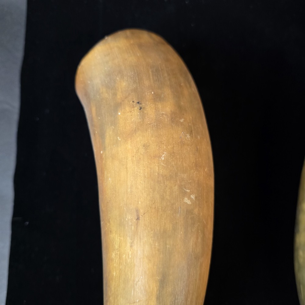 Antique Powder Horns