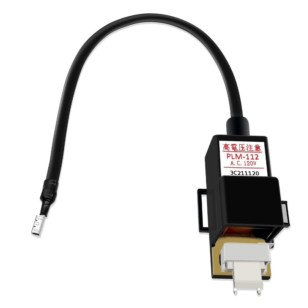 WISINY RTG20235C RTG20235BC Tankless Gas Water Heater Ignitor Coil Black