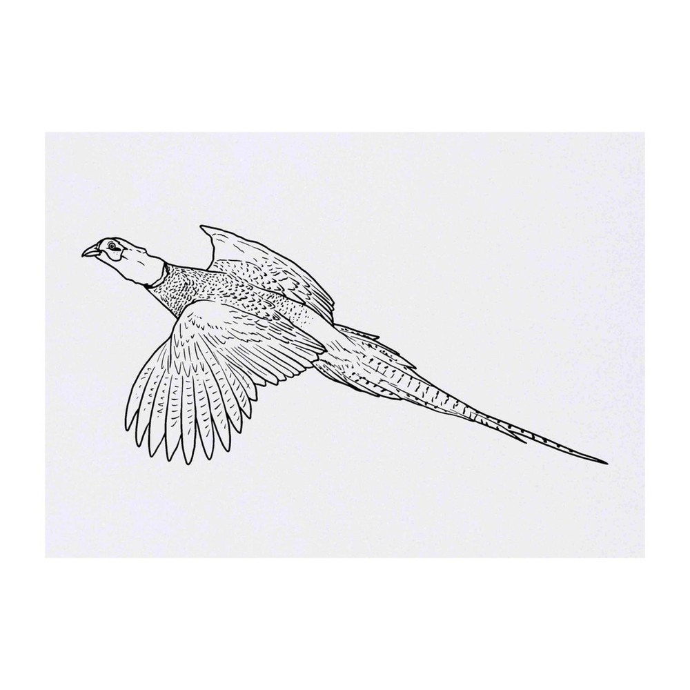 'Flying Pheasant' Temporary Tattoos / Transfers (TO00050140)