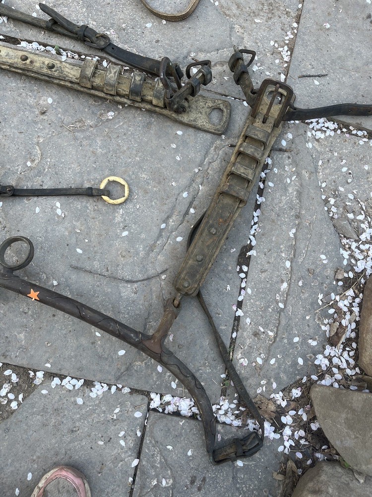 Vintage Horse Bits And Harness