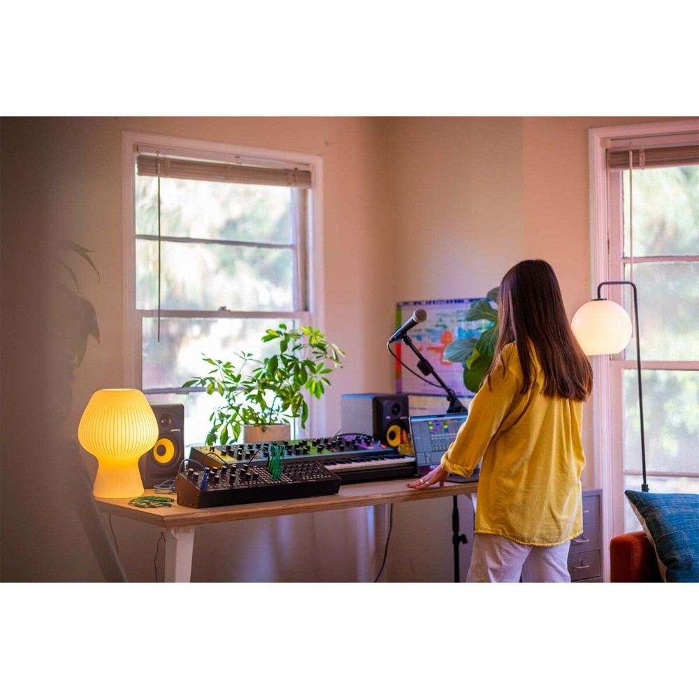 Moog Mavis Analog Synthesizer Kit