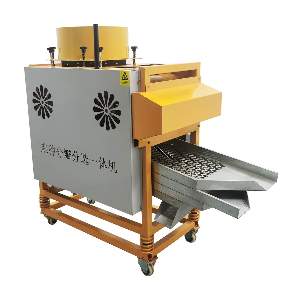 Auto Garlic Clove Separator Bulb Breaking Machine Seed Sorting & Dicing Peeler