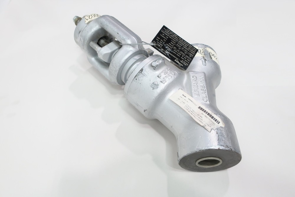 Flowserve D-96124-F22 Stainless Socket Weld Check Valve 1in