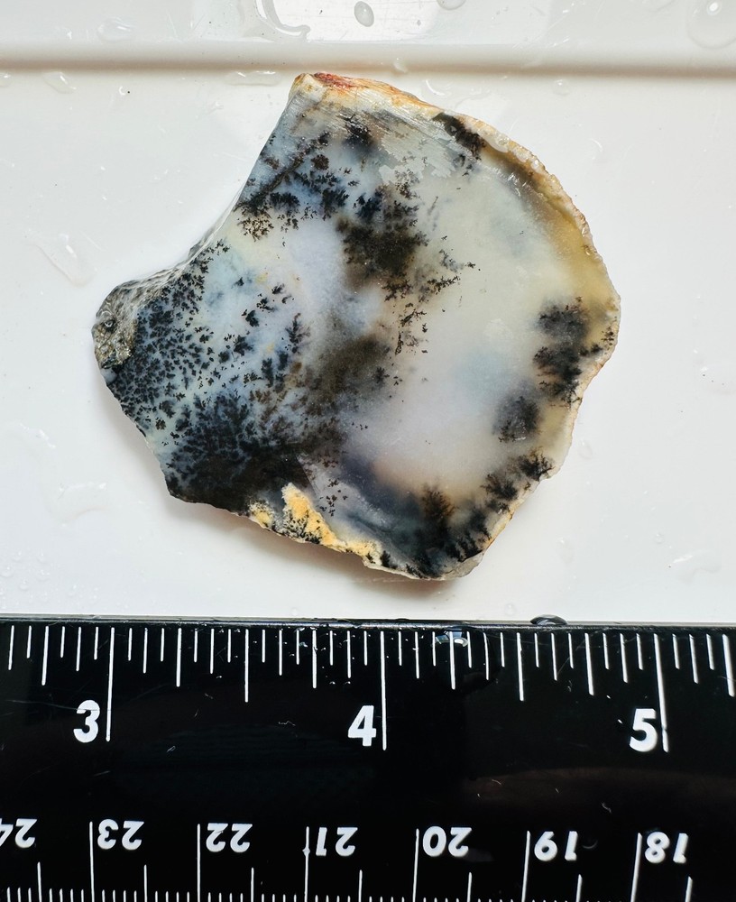 Dendritic Plume Agate Small Slab, 28 grams, Lapidary/Cabbing