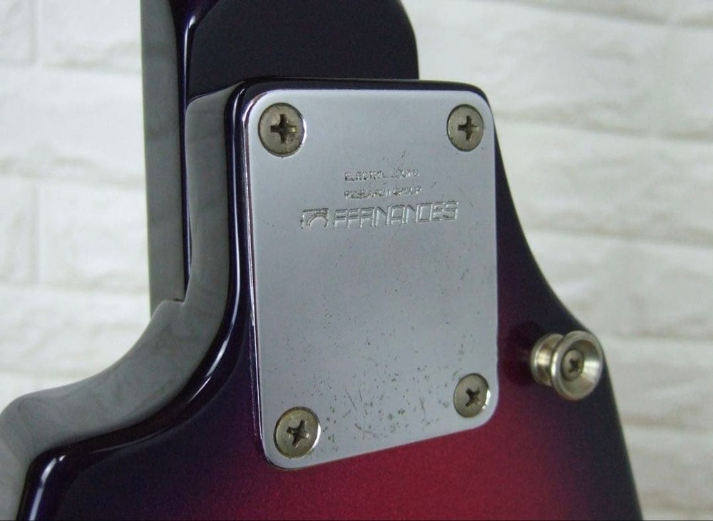 FERNANDES BSV Flying V type Safe Packing!
