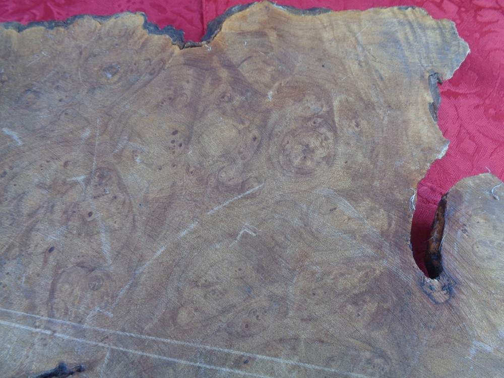 Burlwood Tree Slice #7