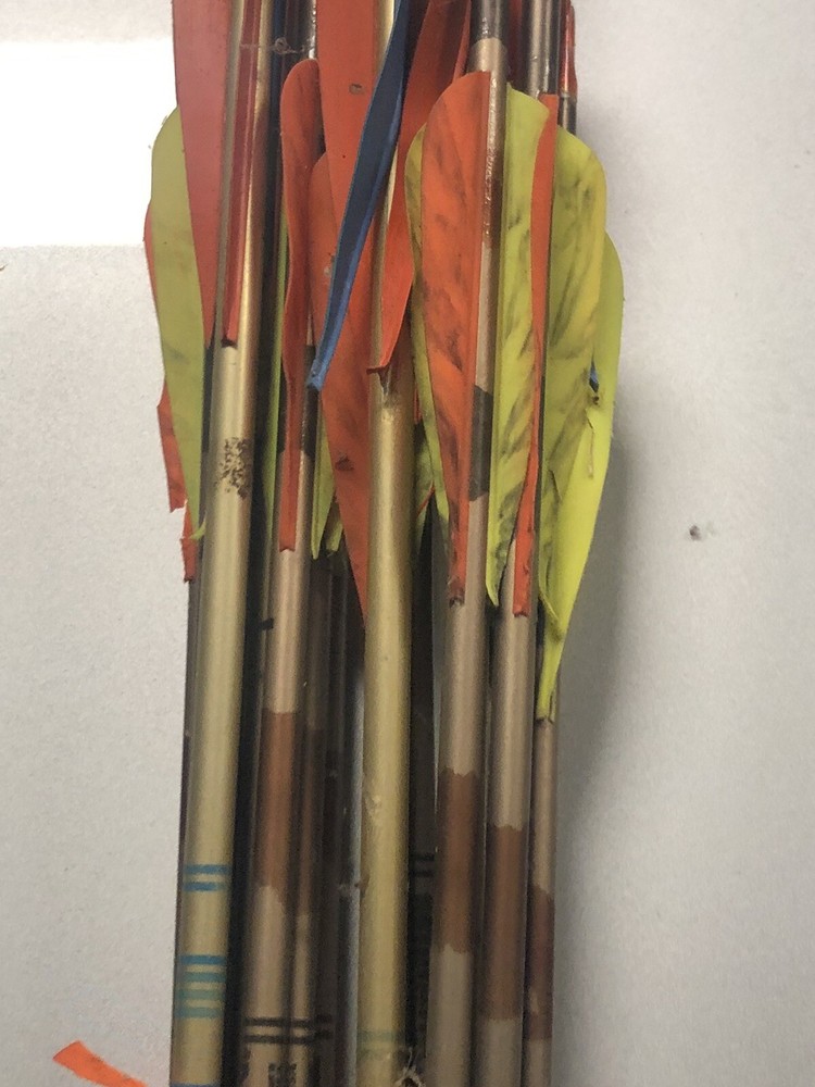 Ben Pearson Compound Bow