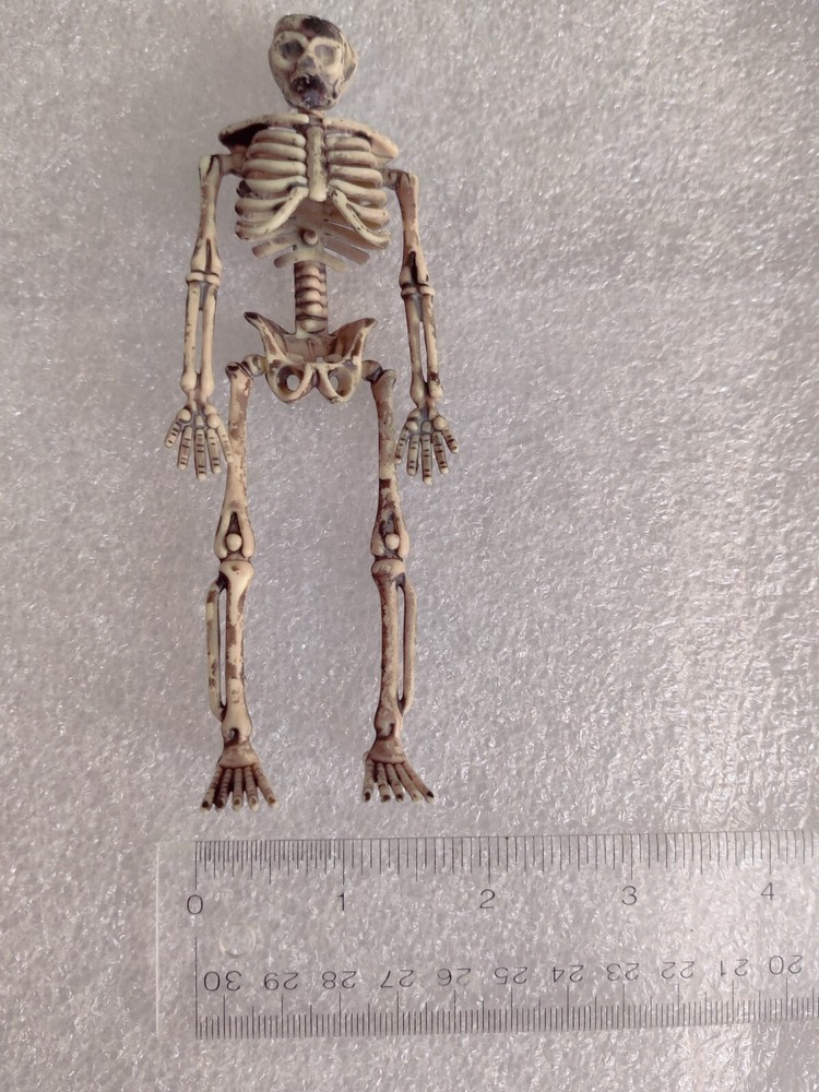 Halloween Skeleton Pair Props (Plastic)