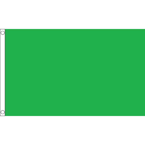 Plain Green Unprinted Flag Table Hand Waving Flags Bunting Scrunchie Displays