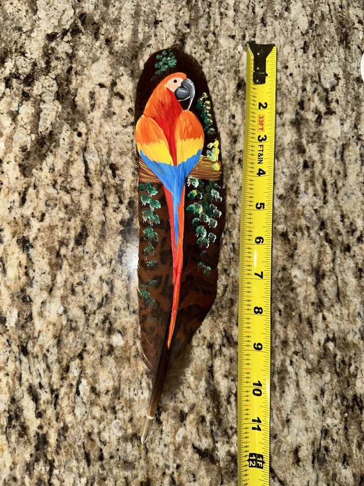 Hand Painted Parrot On Natural Feather