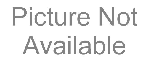 LSI MegaRAID SAS 8704EM2 PCI-E RAID Controller Kit LSI00177