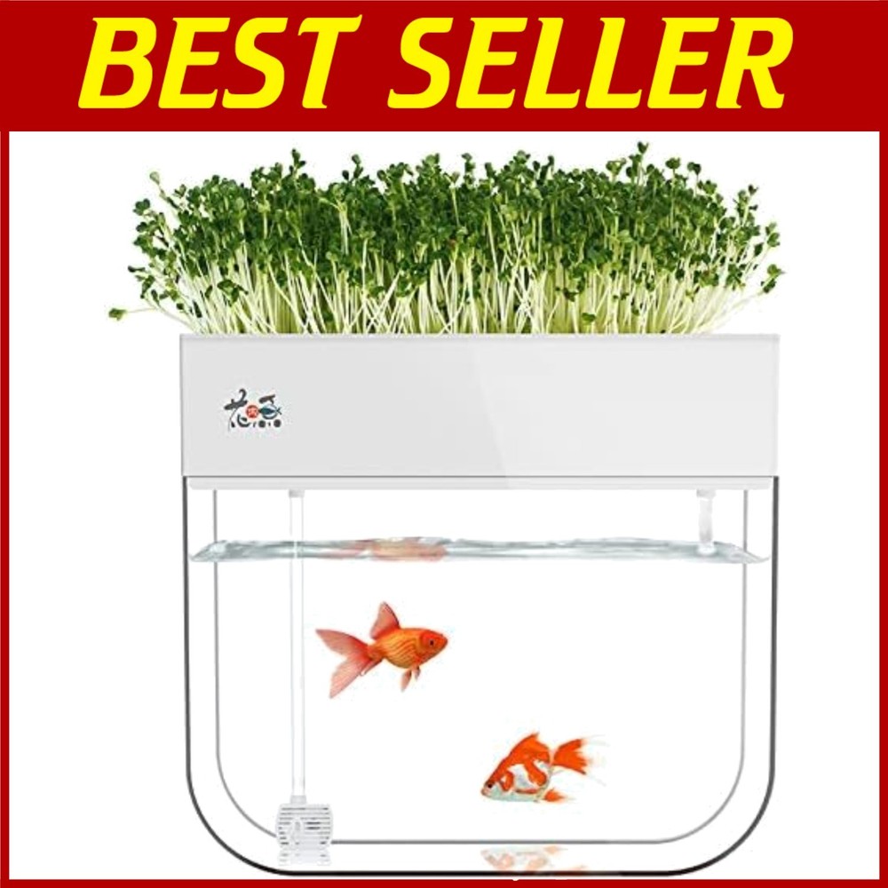 Aquaponic Fish Tank & Seed Sprouter System