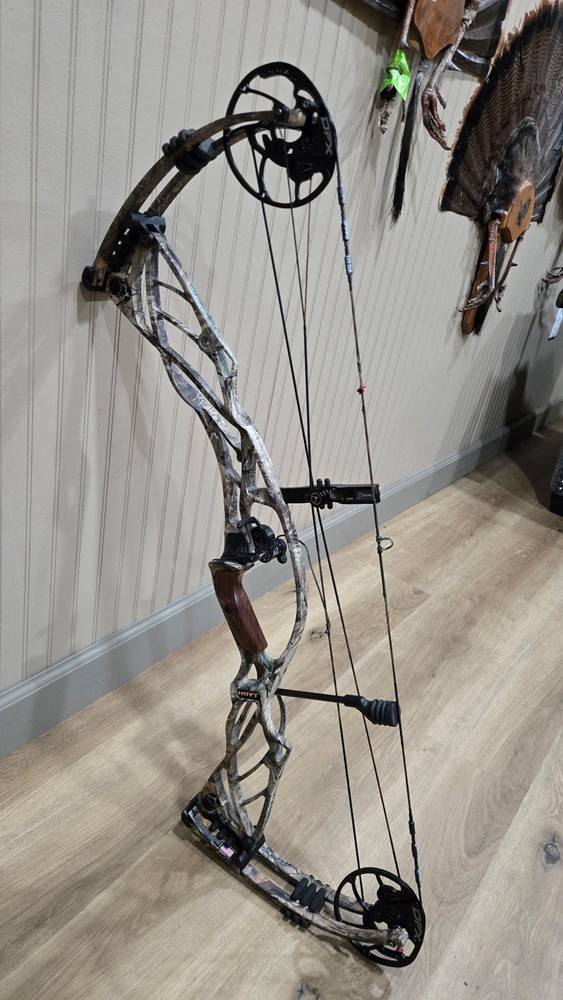 Compound Bow